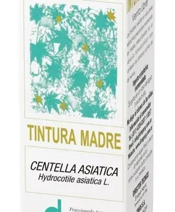 Tintura madre CENTELLA ASIATICA